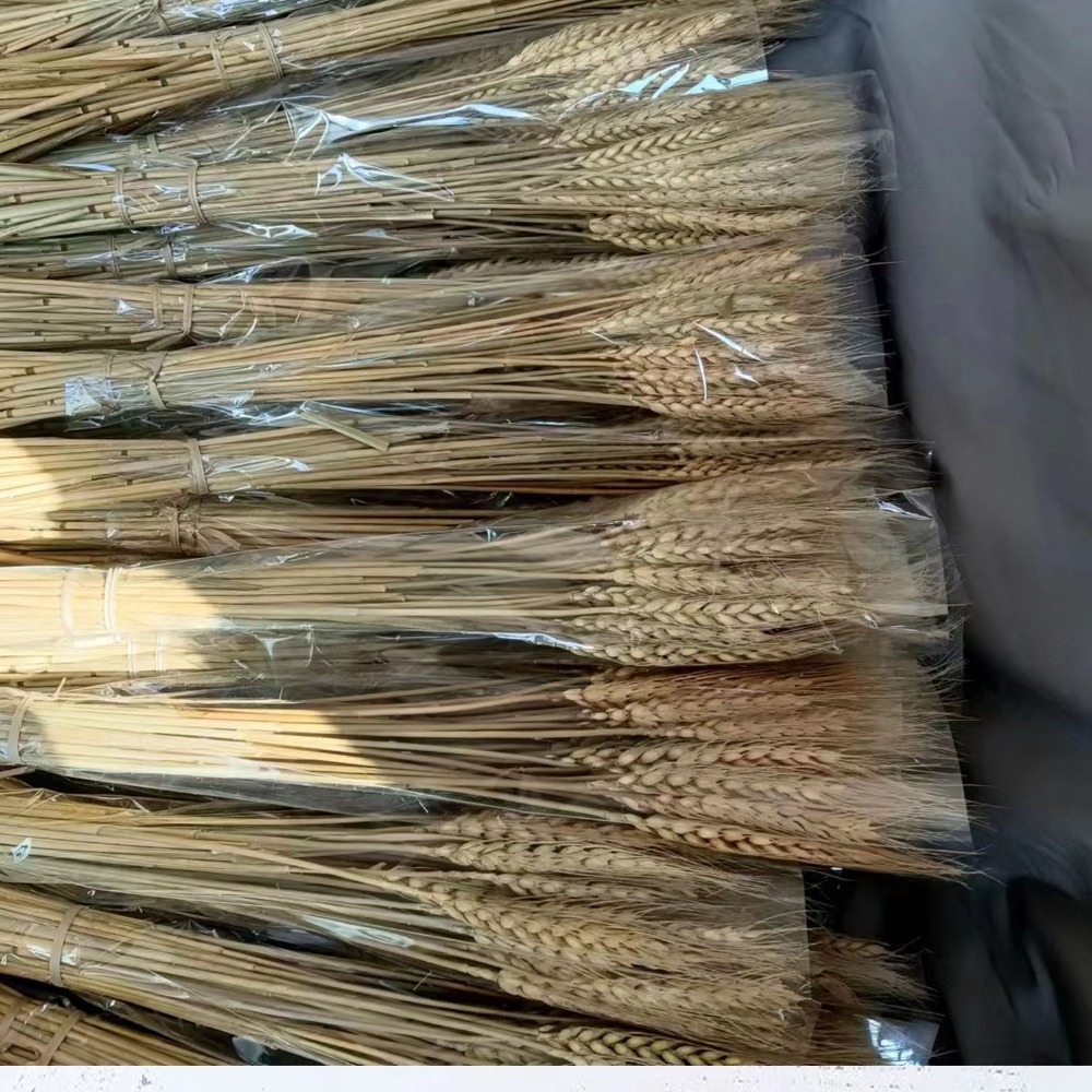 Dried Flower Bulk - 50pcs Artificial Flower Natural Dried Wheat