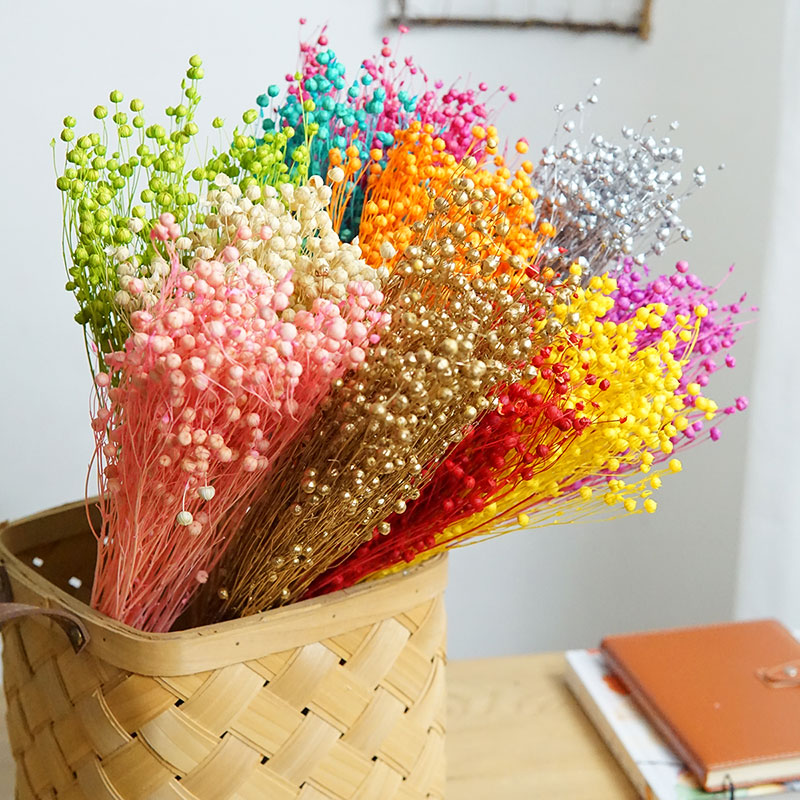 Dried Flower Bulk - 35g/Preserved Ormosia Hosiei Natural Real Flowers