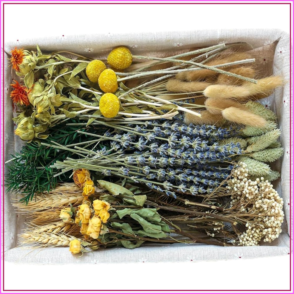 Dried Flower Bulk - DIY Natural Dried Flower Set With