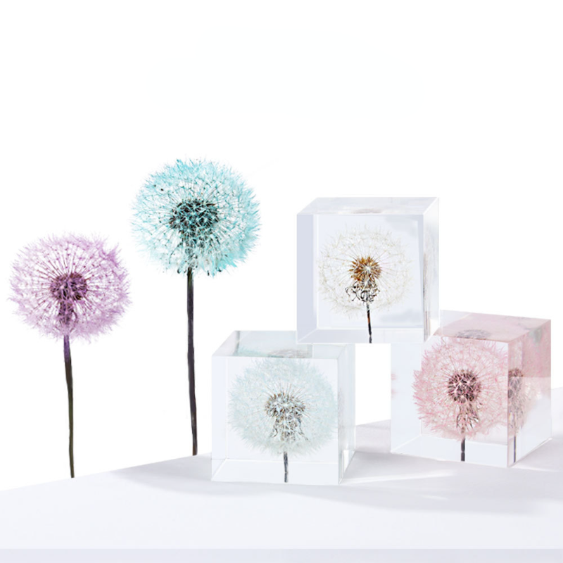 Dandelion preserved fresh flow - Flower Preservation Resin review and price