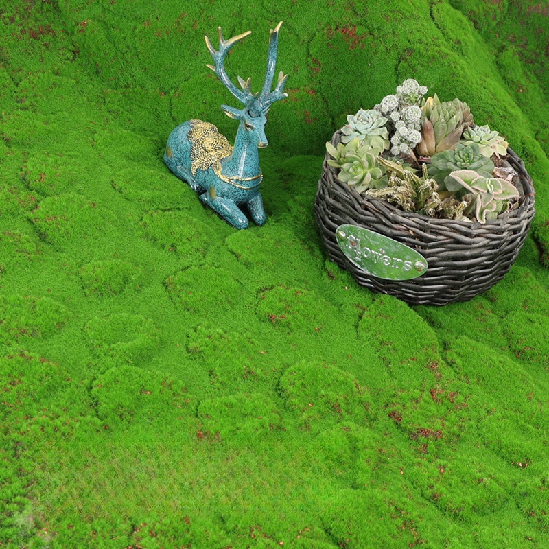 Artificial Turf Moss Simulatio - Terrarium Moss Art review and price