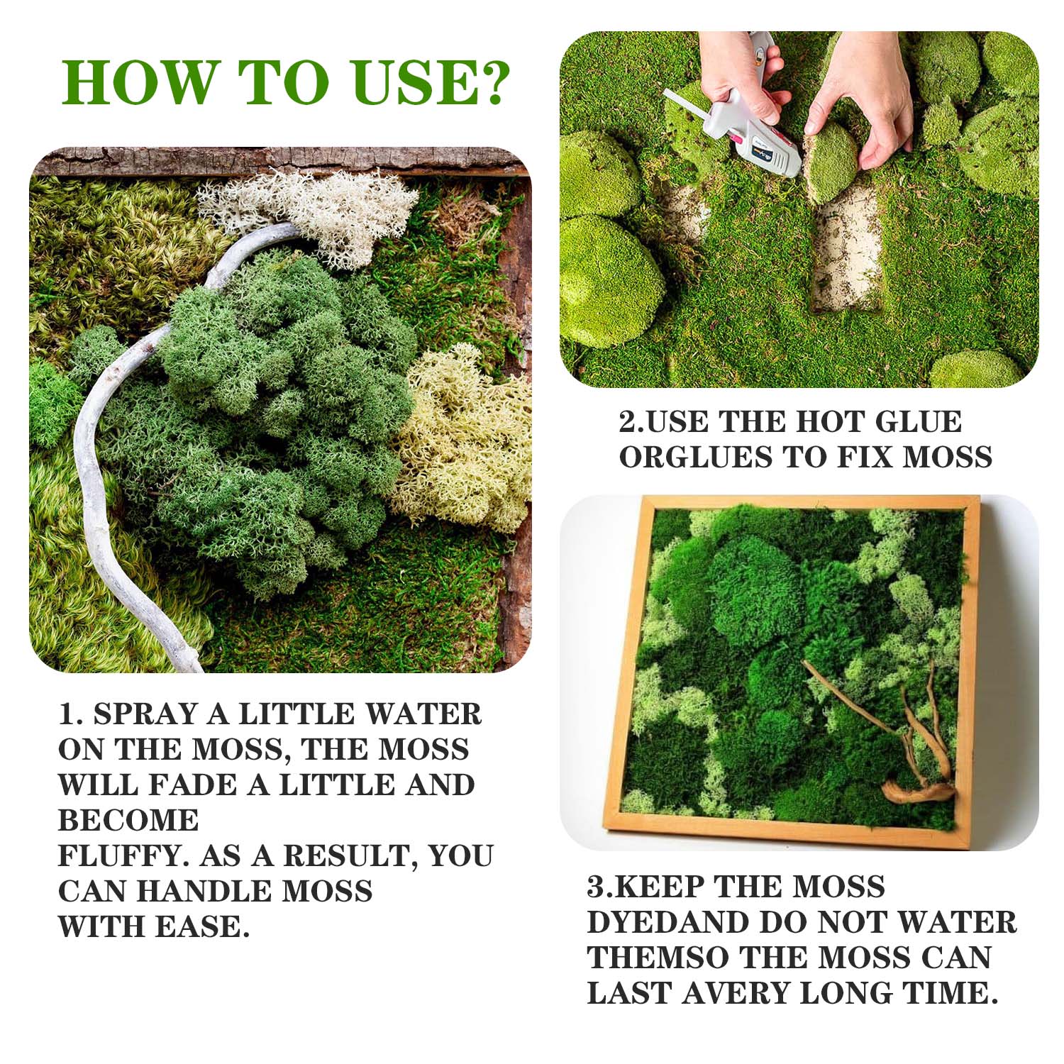 Artificial Green Plants Eterna - Terrarium Moss Art review and price