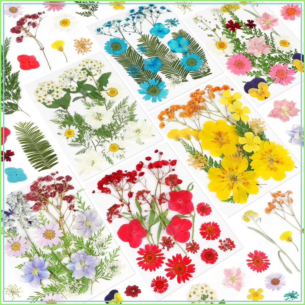 Dried Pressed Flowers for Resi - Dried Flower Bulk review and price