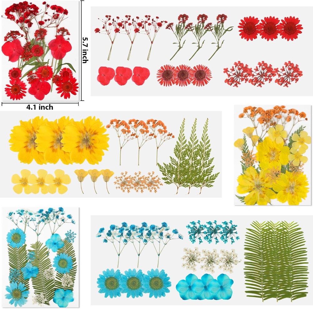 Dried Pressed Flowers for Resi - Dried Flower Bulk review and price