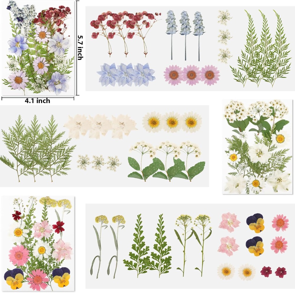 Dried Pressed Flowers for Resi - Dried Flower Bulk review and price