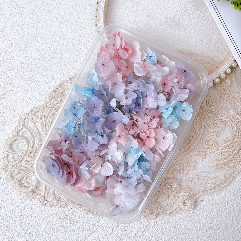 1Box Real Dried Flower Nail De - Dried Flower Bulk review and price