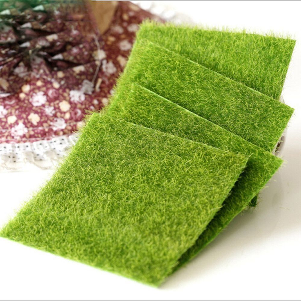 Ecological Lawn Decor Garden O - Terrarium Moss Art review and price