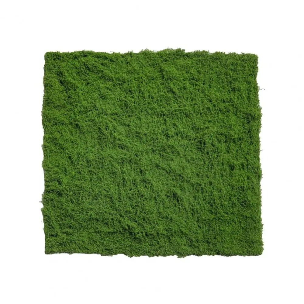 DIY Artificial Grass Rug Durab - Terrarium Moss Art review and price