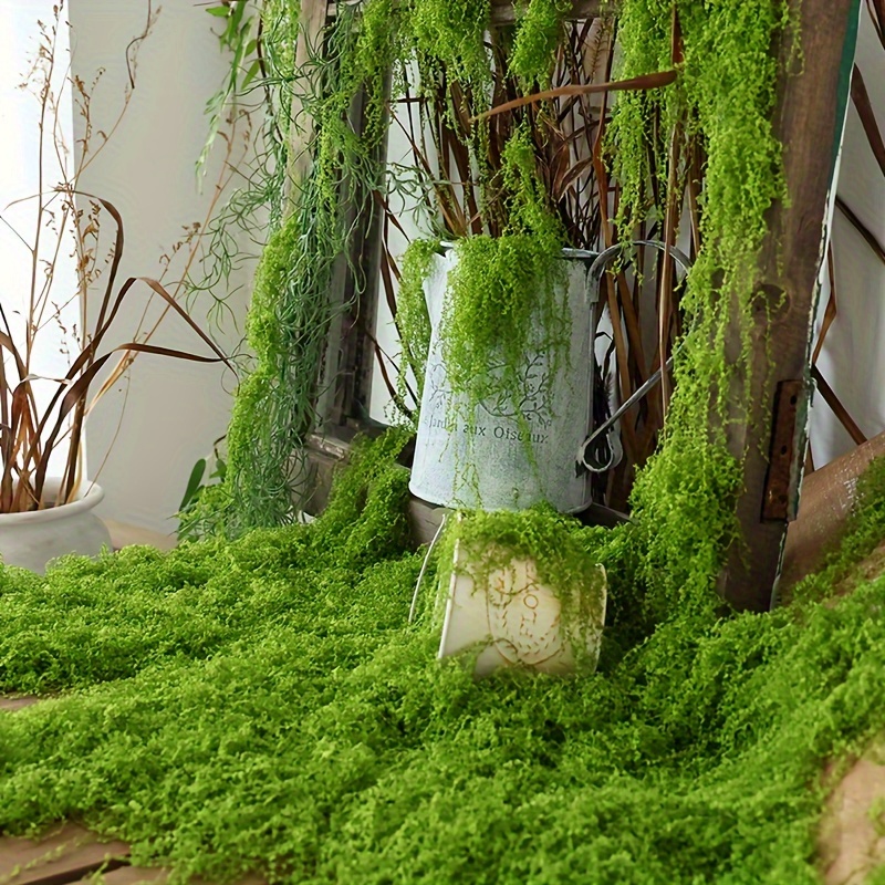 1pack Artificial Fake Moss, 1. - Terrarium Moss Art review and price