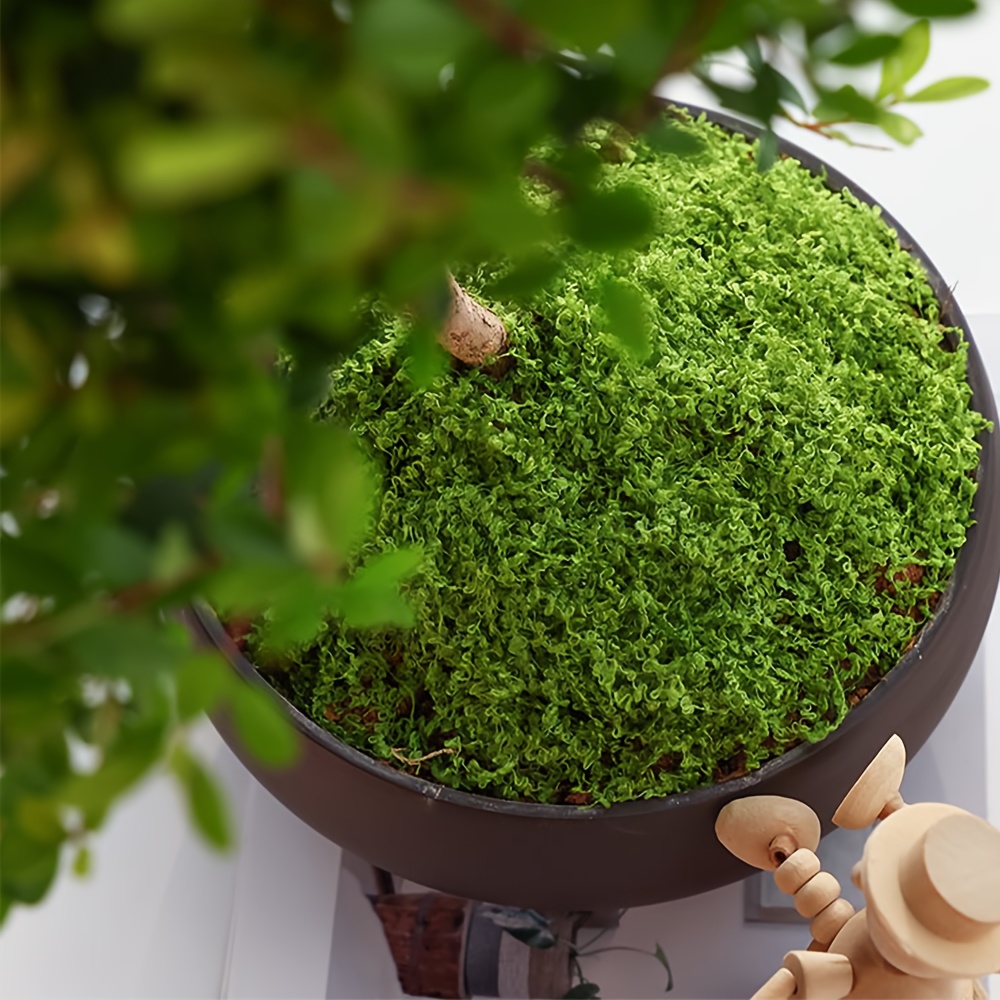 1pack Artificial Fake Moss, 1. - Terrarium Moss Art review and price