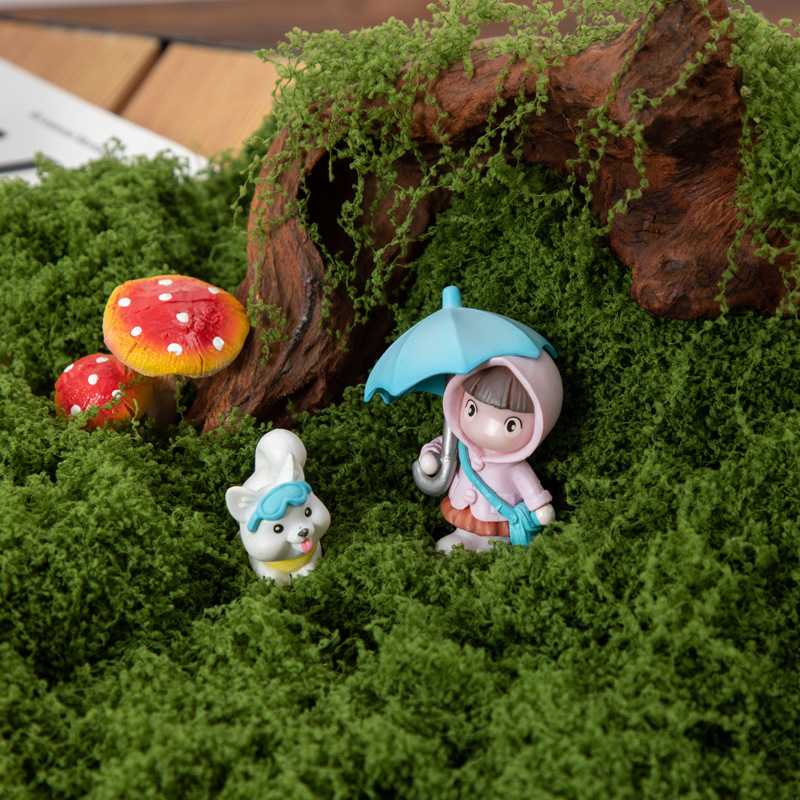200g Eternal Life Moss DIY Cra - Terrarium Moss Art review and price