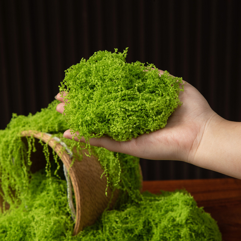 200g Eternal Life Moss DIY Cra - Terrarium Moss Art review and price