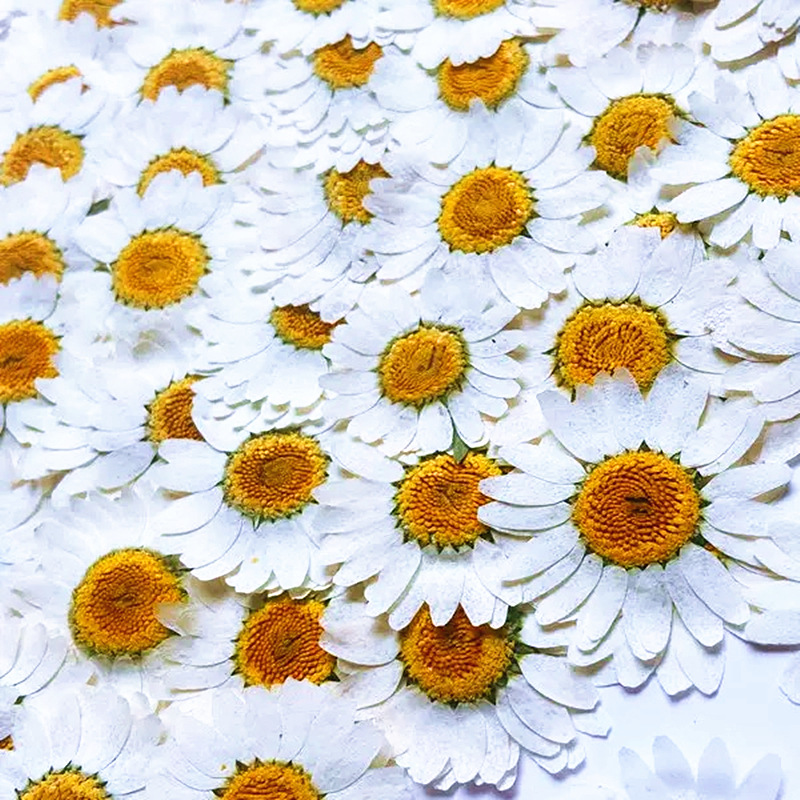100Pcs Natural White Crystal C - Resin Craft Ideas review and price