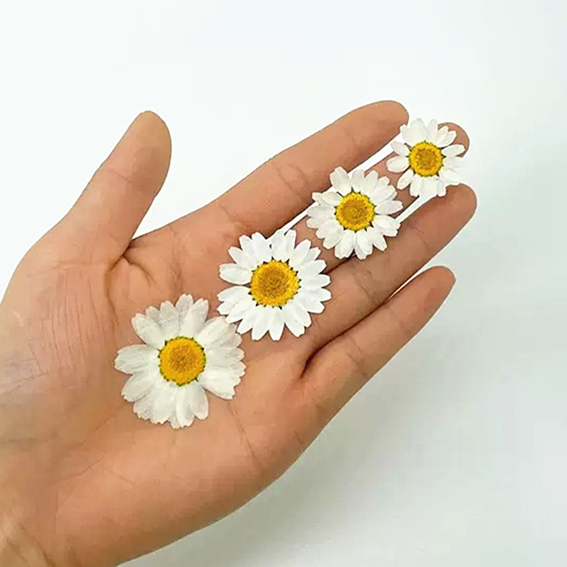 100Pcs Natural White Crystal C - Resin Craft Ideas review and price