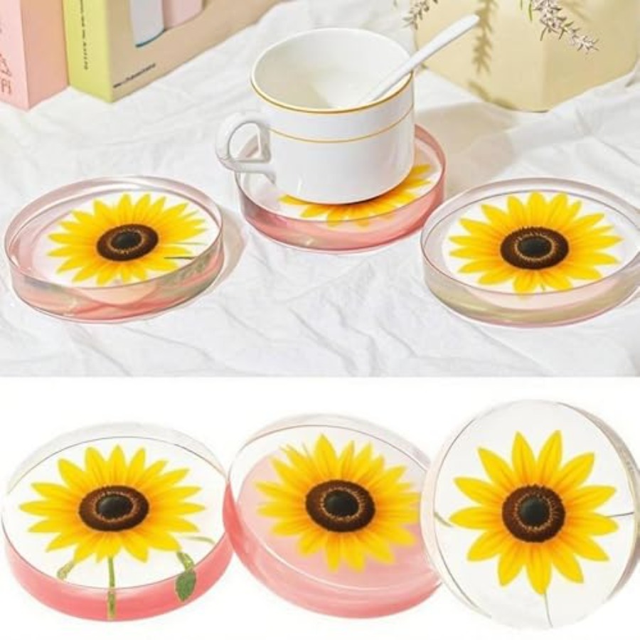 6-Cavity Deep Round Coaster Si - Flower Preservation Resin review and price