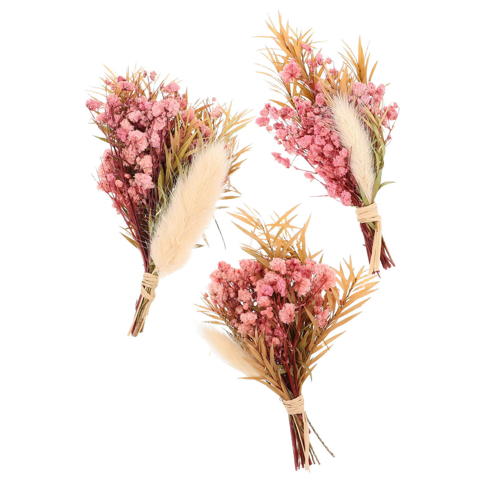 3Pcs Mini Dried Floral Bouquet - Dried Flower Bulk review and price