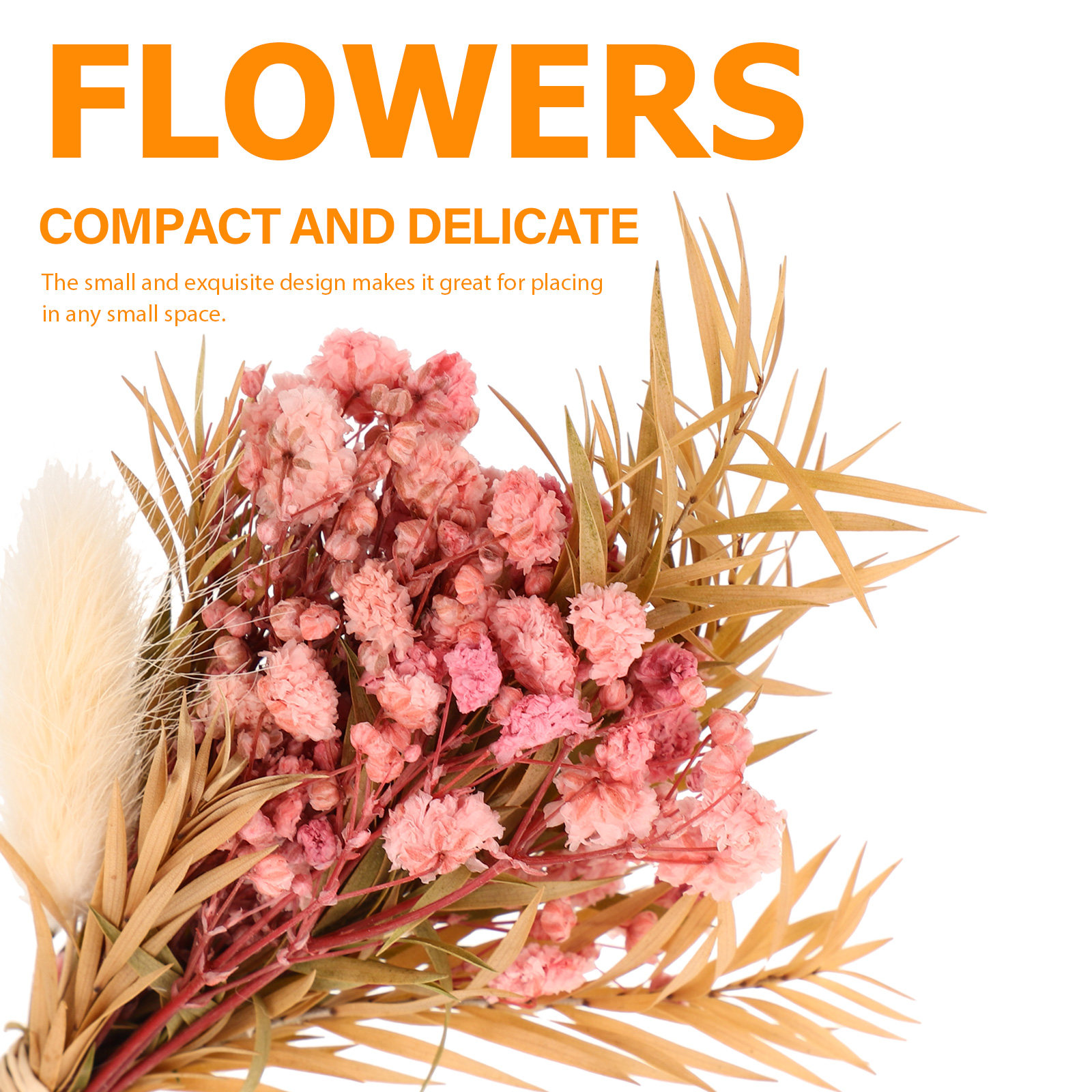 3Pcs Mini Dried Floral Bouquet - Dried Flower Bulk review and price