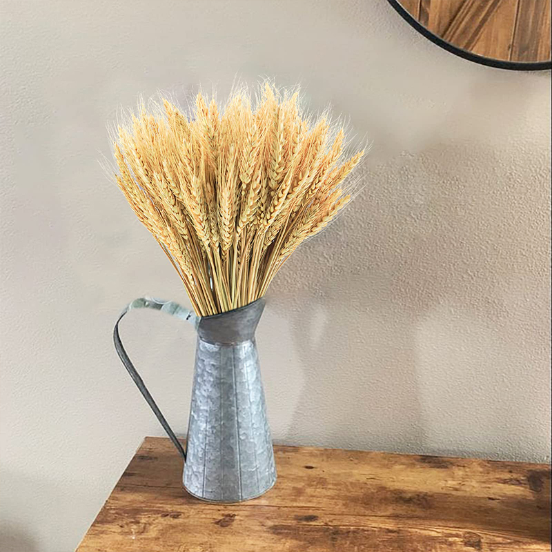 50/100/200PCS Dried Wheat Stal - Dried Flower Bulk review and price