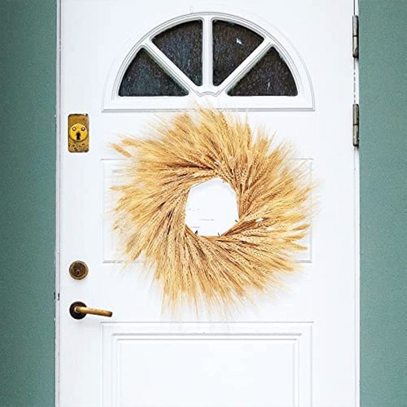 50/100/200PCS Dried Wheat Stal - Dried Flower Bulk review and price