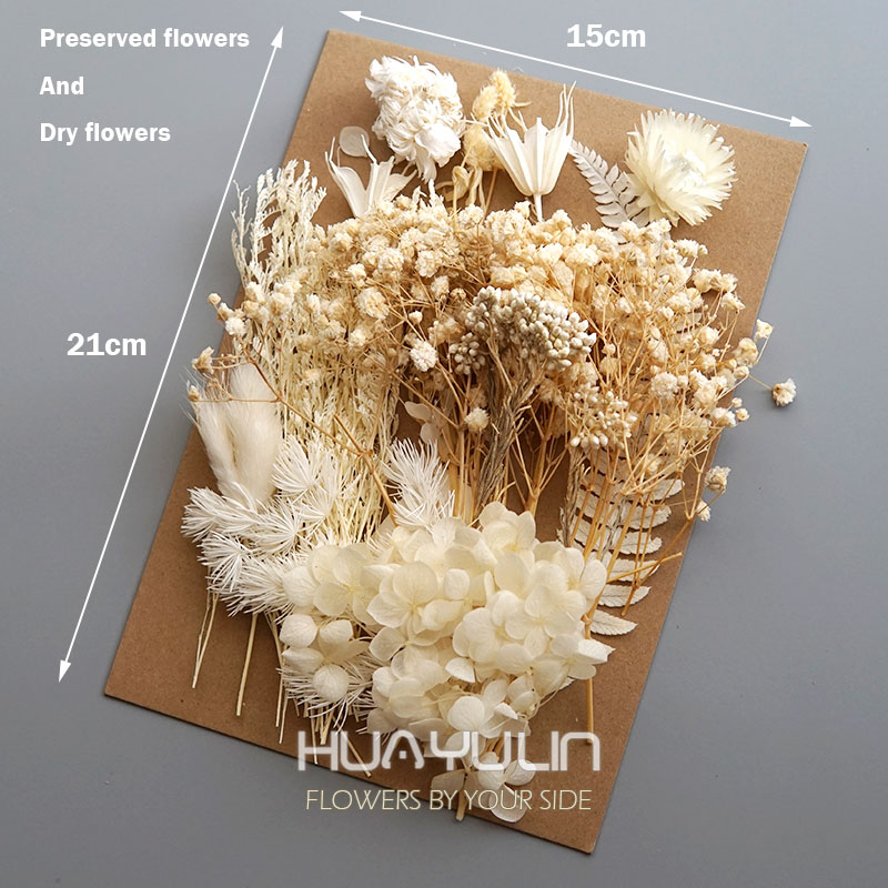 1 Pack Artificial Plants Dried - Flower Preservation Resin review and price