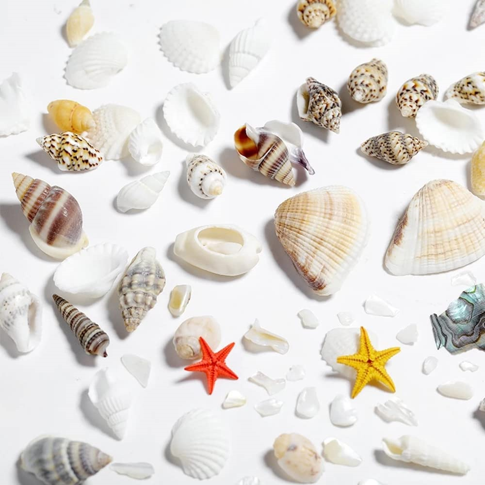 1Box Sea Shells Pearl Resin Fi - Resin Ocean Wave Mold review and price