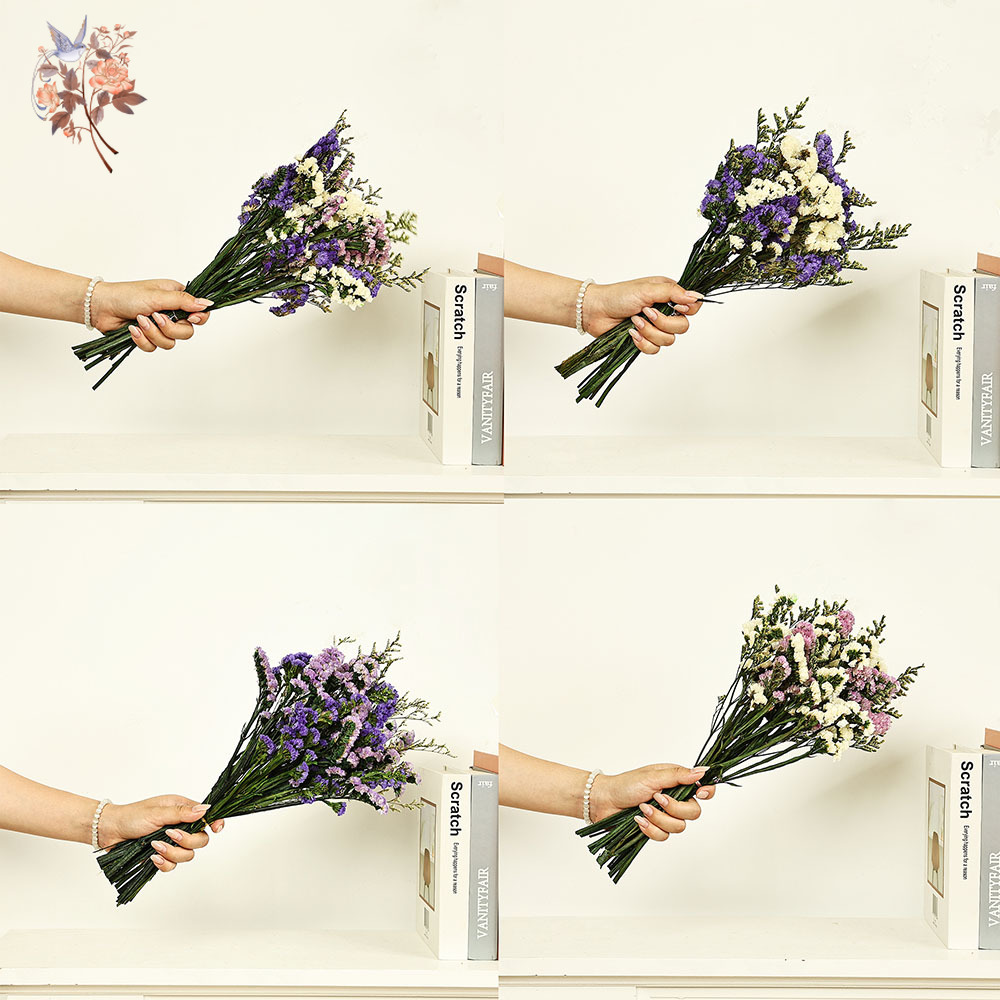100g Natural Real Forget-me-no - Dried Flower Bulk review and price
