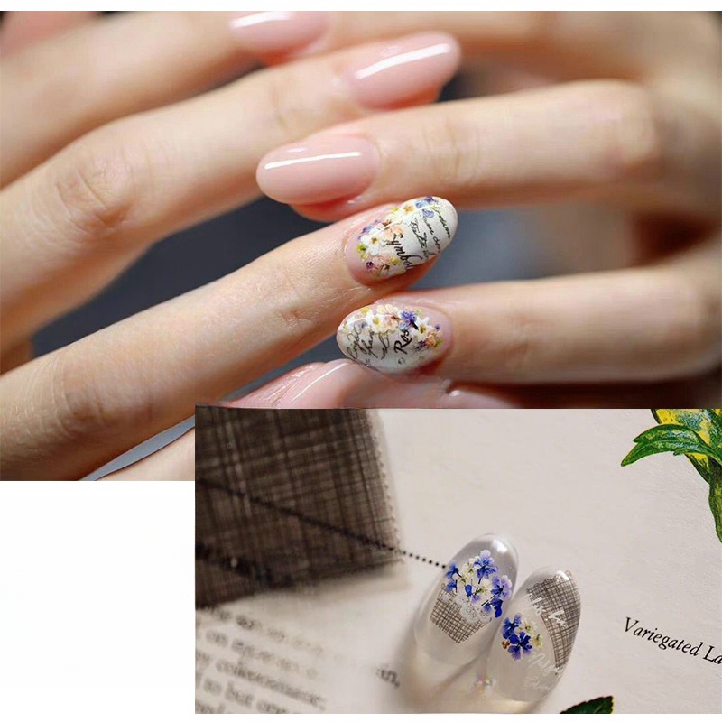 Mixed Small Dried Flowers Nail - Dried Flower Bulk review and price